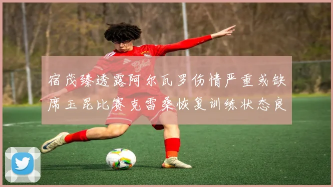 宿茂臻透露阿尔瓦罗伤情严重或缺席玉昆比赛克雷桑恢复训练状态良好
