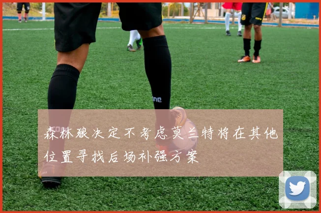 森林狼决定不考虑莫兰特将在其他位置寻找后场补强方案