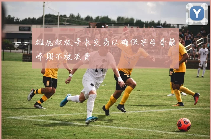 雄鹿积极寻求交易以确保字母哥巅峰期不被浪费